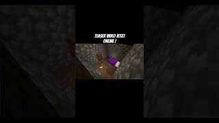 minecraft teaser minecraftprojekt projekt [upl. by Deidre762]