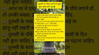 तुलसी के उपाय। Tulsi k upaye youtubeshorts [upl. by Ahsekahs]