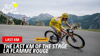 Last Km  Stage 19  Tour de France 2024 [upl. by Elleneg]