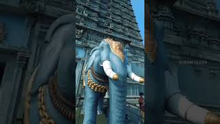 Om Namachivaya Om Shiva whatsapp status  Murudeshwar Maha shiva  Karnataka [upl. by Madeleine709]