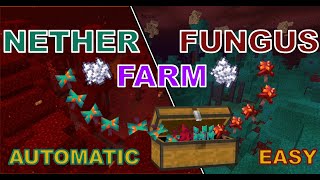 Easy Nether Fungus Farm Minecraft Java 116 [upl. by Lefton]