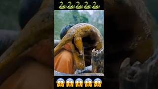 Water Snake Attack 😱😱 shorts hollywoodtx [upl. by Aerdnat]