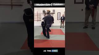 Modernized Gekkan martialarts ninjutsu bujinkanninjutsu taijutsu [upl. by Eldnek]