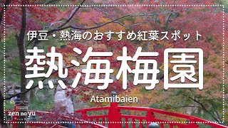 秋の熱海・伊豆旅行で知っておきたい紅葉スポット「熱海梅園」をご紹介！夜にはライトアップも！ [upl. by Nnaael874]