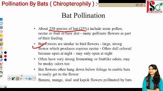 Pollination By Bats Chiropterophily◾Simplified Explanation By Rajni Rajwansh RajniStudyCampus [upl. by Allie235]