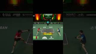 Fan Zhendong vs Wang Chuqin best point fanzhendong wangchuqin tabletennis pingpong wtt best [upl. by Raleigh]