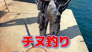 【小豆島】懲りずにまた釣りに行ってきました [upl. by Cyrilla]