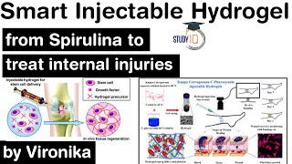 Indian scientists develop Smart Injectable Hydrogel from Spirulina to treat internal injuries UPSC [upl. by Pitt]