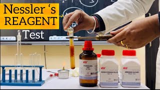 Nesslers reagent test for ammonium Nesslers reagent preparation Pandey Ji [upl. by Merc]