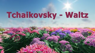 Tchaikovsky  Waltz of the Flowers [upl. by Amedeo29]