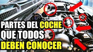 PARTES DEL MOTOR DE UN COCHE  Aprende a revisar el motor de tu auto  Cuánto Gana [upl. by Flannery]