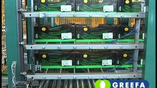 GREEFA  QSort sorting machine for cucumbers location LGV Austria [upl. by Soinotna99]