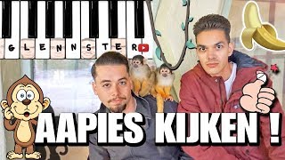 IK STA VOOR AAP  GEBETEN EN OP KRAAMVISITE TUSSEN APEN IN DE APENHEUL  Vlog 630 [upl. by Sedinoel]