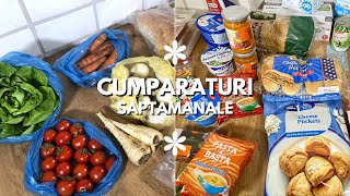 Ce am cumparat cu 1100 de lei intro saptamana 🛒🕰️👚🥚  ALIELA [upl. by Tyra513]