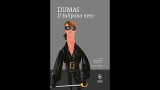 Il tulipano nero Dumas Audiolibro 1 [upl. by Atiz]