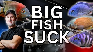 Whats Wrong With Keeping BIG AQUARIUM FISH [upl. by Ev318]