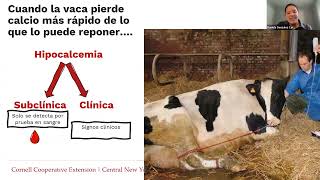 Trastornos de Salud de la Vacas FrescaHipocalcemia Fresh Cow DisordersHypocalcemia [upl. by Eiuol]