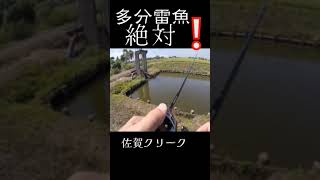 釣れる事は最高なのです❕shorts バス釣り 佐賀クリーク 佐賀バス釣り おかっぱり 岸釣り 雷魚 右巻き大好き [upl. by Savick]