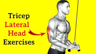 10 Best Lateral Head Tricep Exercises For Bigger Arms You Need To Do [upl. by Jarad]