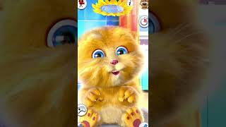 kakke kakke koodevideshortvideo cat catsound talkingtom catmeow malayalam cartoon [upl. by Yetsirhc]