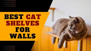 Best Cat Shelves for Walls  Cat Shelves [upl. by Neladgam144]