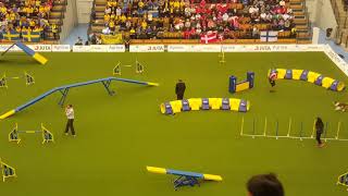 SPAIN TEAM Large AGILITY AWC 2018 [upl. by Neeruan171]