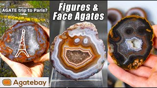 Crazy special Figures and Faces in Agates Diving Agate Penguin😅 4K [upl. by Barbarese]