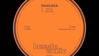 Pangaea  Router [upl. by Wyatt]