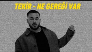 Tekir  Ne Gereği Var Lyrics [upl. by Davison]