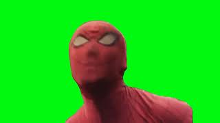 Japanese Spiderman Marveller Call Green Screen [upl. by Renick]