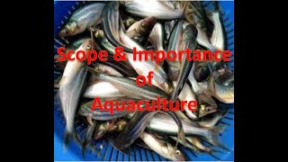 Scope and Importance of Aquaculture [upl. by Cassey699]