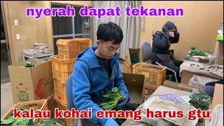 hari pertama kerja di jepang langsung klenger [upl. by Nnyluqcaj]