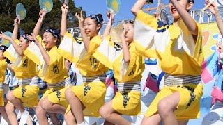 阿波踊り 菊水連 牡蠣フェス2024 上野公園噴水広場 １月６日 [upl. by Uoliram876]