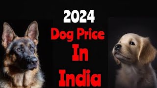 Dog Price Update  German Shephard and Labrador ❗ Dog Price in India in 2024 [upl. by Fawn]