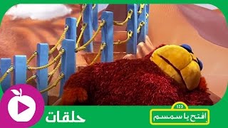 افتح يا سمسم  الحلقة الرابعة والعشرون تدريب على القيلولة [upl. by Yv388]