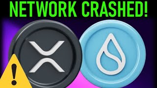 🚨XRP SUI PAYMENTS PLUMMET n NETWORK CRASHES🚨 [upl. by Mehitable]