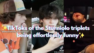 TikToks of the Sturniolo triplets being effortlessly funny [upl. by Naro]