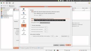qBittorrent options [upl. by Stephen324]