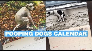 Pooping Dogs Calendar [upl. by Adnomal]