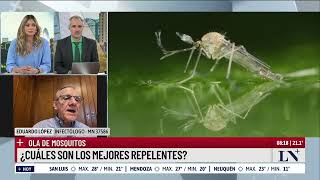 Brote histórico de dengue cuáles son los mejores repelentes para prevenirlo [upl. by Eahsel]