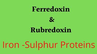 Ferredoxin amp Ruberdoxins Iron Sulphur Proteins [upl. by Akerahs772]