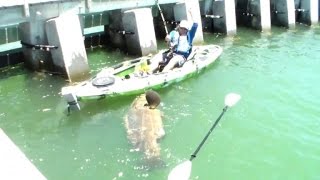 Man Catches Record Breaking 500 Pound Grouper from a Kayak [upl. by Nassi849]