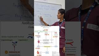 Ace Inhibitors AntiHyperrtensive Classification perfusion pharmacology alliedhealth kidneys [upl. by Jobye]