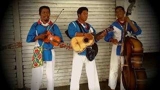 La Danza del Venado Canción Huichol [upl. by Eannej]