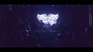 Trapdoor Terror Self titled song Live at Soulfest 2024 [upl. by Quartana]