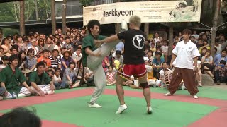 Taekwondo vs Muay Thai  part 3 [upl. by Nnarefinnej]