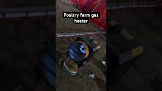 Poultry farmers poultryfarm [upl. by Johnathan]