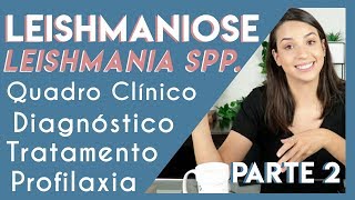 Leishmaniose Leishmania spp  Parte 2  PARASITOLOGIA 5 [upl. by Florrie]