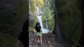 Beautiful waterfall in Oregon youtubeshorts nature beautifuldestinations viralvideo [upl. by Lekar]