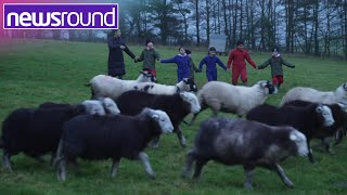 Meet the kids swapping the classroom for a farm  Newsround [upl. by Aved]